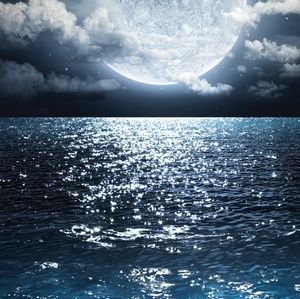 Meet your Posher, Lorenzo